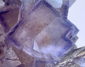 562g Außergewöhnliche seltene Multi blau-violette Phantomfluoritstufe - Großes Kubisches Kristallmuster - Pakistan