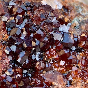 Puede incluir: Primer plano de un grupo de cristales de granate rojo oscuro. Los cristales tienen una forma geométrica compleja y están densamente agrupados. El fondo muestra una mezcla de minerales marrones y blancos, creando una apariencia natural y terrosa.