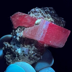 Op de afbeelding: Een cluster van roze en rode kristallen op een donkergrijze rots. De kristallen zijn doorschijnend en hebben een glazige glans.