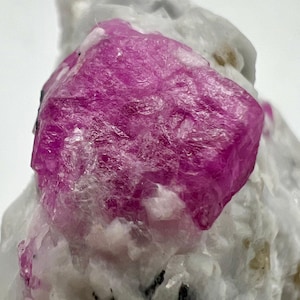 May include: A close-up of a raw, uncut ruby crystal. The ruby is a vibrant magenta color and is embedded in a matrix of white rock. The crystal has a rough, textured surface and is the focal point of the image.