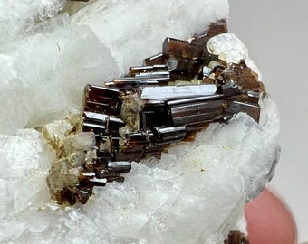 May include: A cluster of brown, needle-like crystals of schorl tourmaline on a matrix of white, translucent quartz.