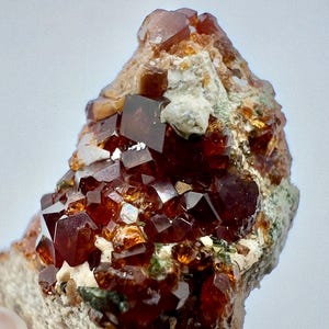 Pode incluir: Um aglomerado de granadas spessartina vermelho-marrom em uma matriz de minerais brancos e verdes. As granadas são facetadas e têm um brilho vítreo.