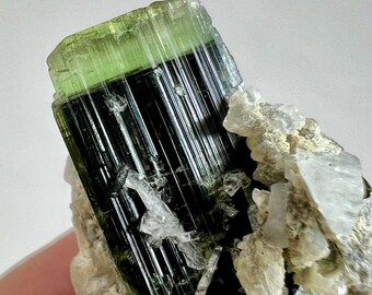 グリーンキャップトルマリンクリスタル：パキスタン産22カラットのバイ