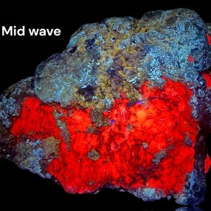 Puede incluir: Primer plano de una roca con fluorescencia roja, naranja y azul bajo luz UV. La roca tiene una superficie rugosa y texturizada. "Mid wave" está escrito en blanco sobre fondo negro en la esquina superior izquierda de la imagen.
