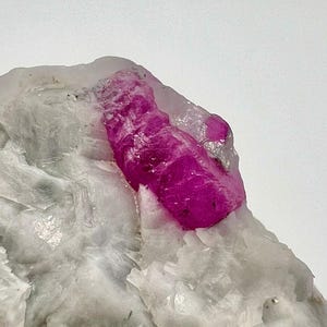 Könnte beinhalten: Ein rosafarbener Rubin-Kristall, eingebettet in eine weiße Gesteinsmatrix. Der Rubin hat ein raues, natürliches Aussehen und ist von weißen, durchscheinenden Kristallen umgeben.