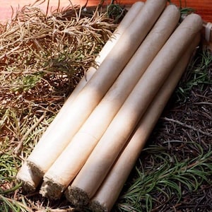 Mugwort Incense Sticks – Box of 5 | Herbal Smudge for Cleansing, Protection, Dreamwork & Meditation | Paper-Wrapped Mugwort Smudge Rolls