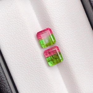 2.69 Cts Natural Watermelon Tourmaline Pair Loose Gemstone Faceted Loose Watermelon Tourmaline Pair Bi Color Tourmaline Pair For Jewelry