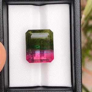 21.74 Cts Natural pink and green Watermelon Tourmaline Loose Gemstone Faceted Bicolor Tourmaline  Watermelon Loose Tourmaline Bi Color