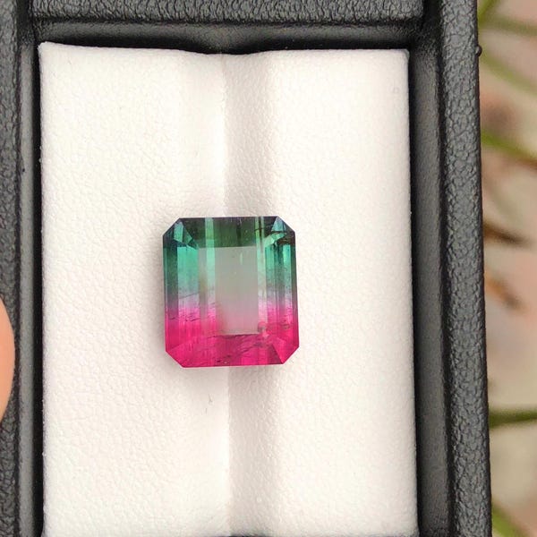 RESERVADO 10,96 cts Turmalina Bicolor - Impresionante Turmalina Sandía Natural para la Fabricación de Joyas - Regalo Perfecto para los Amantes de las Piedras Preciosas