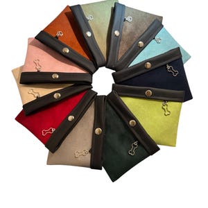 Shorty Bait Bag Dog Treat Pouch: Magnetic Closure, Belt Clip