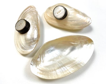 Vintage Seashell Salt & Pepper Shakers | Mother-of-Pearl Natural Shell Shakers And Pinch Bowl