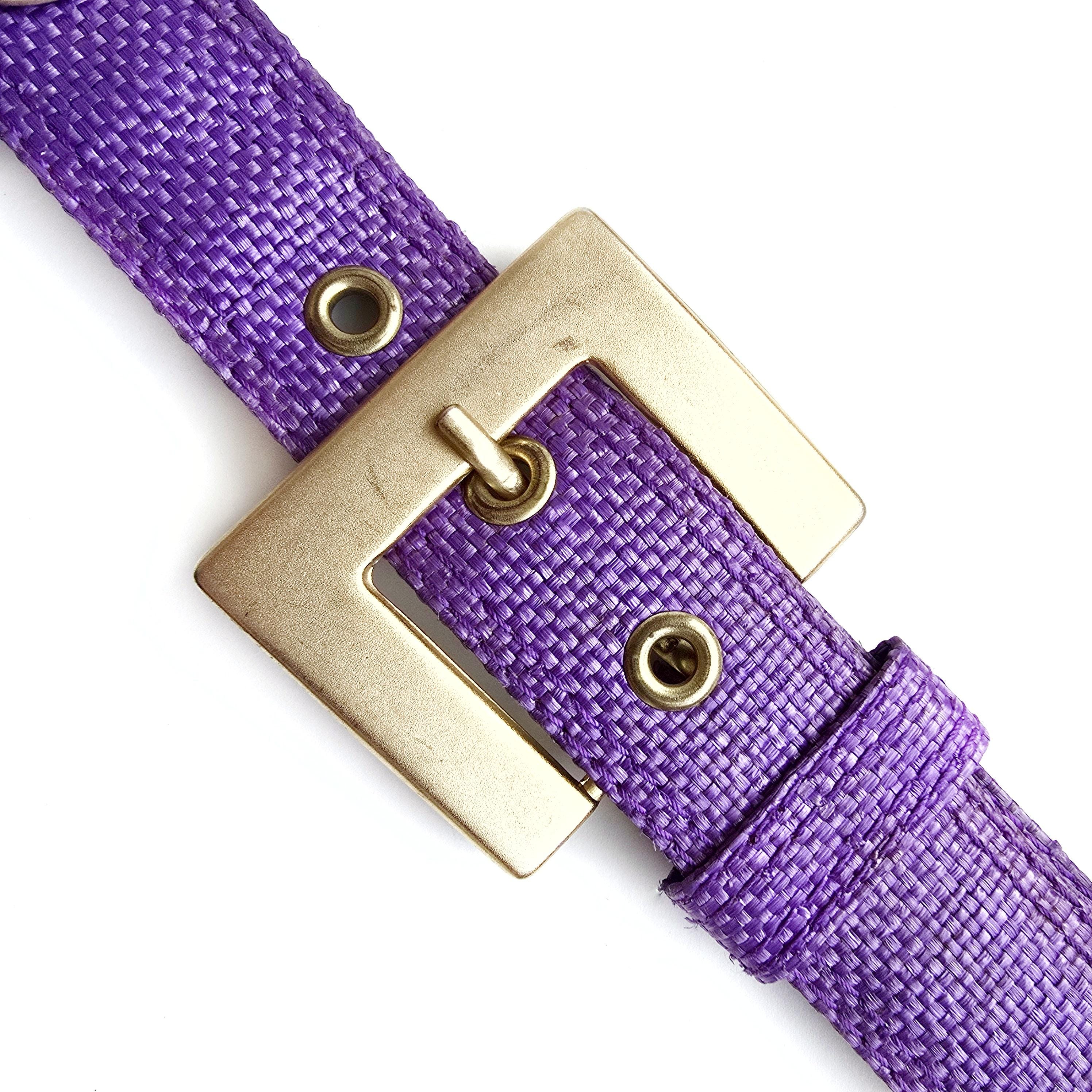 Vintage Purple Belt With Gold Stud Buckle | Statement Dress  display picture 1