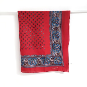 Vintage TED LAPIDUS Paisley Print Scarf | Designer Scarf in Red & Blue