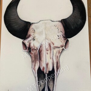 Original Skull Print Collection