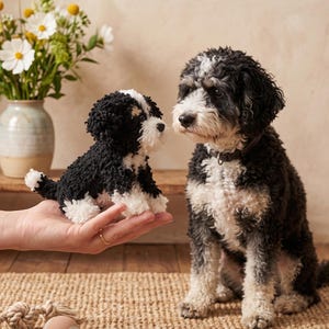 Puede incluir: Una pequeña figura de perro hecha a mano con hilo de textura negra y blanca, sostenida en una palma. Al lado se sienta un perro real de pelaje rizado negro y blanco con un collar oscuro. Un juguete de cuerda y una pelota rosa están en el suelo.