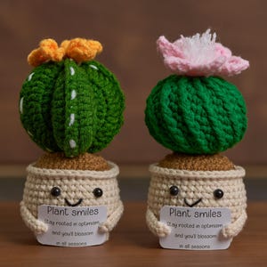 Handmade Crochet Cactus in Pot, Smiling Succulent Gift for Plant Lovers, Crochet Mini Cactus Flower with Positive Quote, Cactus Decor