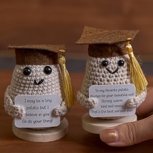 Ręcznie robiony na szydełku ziemniak, ziemniak Amigurumi, spersonalizowany ziemniak wsparcia emocjonalnego, unikatowy przedmiot kolekcjonerski, prezent na ukończenie szkoły dla niej
