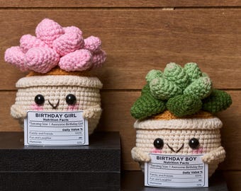 Valeurs nutritives au crochet pour plantes succulentes, Soutien émotionnel pour plantes succulentes, Amigurumi succulente, Plante en pot au crochet, Cadeau pour amoureux des plantes