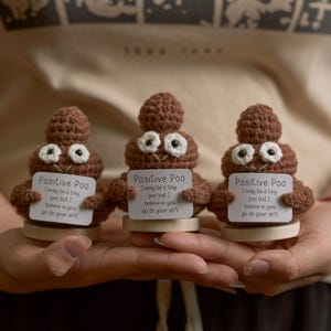 Häkeln Sie Positives Poo, Positive Poo-Puppe, 1 STÜCKE Poo Emoji, Aufmunterungsgeschenk, kleine Häkeldekoration mit positiven Worten