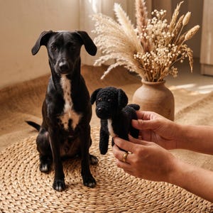 May include: A black dog with a white chest patch sitting upright next to a small, black crocheted dog figurine with a white chest patch. The figurine is held in place, showcasing its textured yarn construction and dark, round eyes.