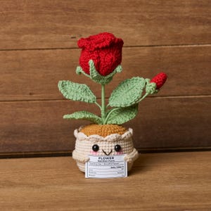 Voedingsfeiten gehaakt rozen bloem in pot, positieve bloem haakwerk met kaart, bureaudecoratie, verjaardagscadeau voor haar