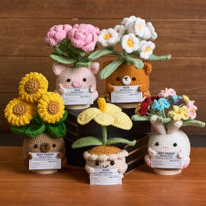 Puede incluir: Una colección de macetas de ganchillo hechas a mano, cada una con la forma de un animal: un cerdo, un oso, un conejo y un oso. Las macetas contienen flores de ganchillo de colores. Cada maceta tiene una etiqueta con las palabras "DAD", "MOM" y "BEST FRIEND".