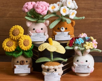 Amigurumi de la valeur nutritive personnalisée, fleurs au crochet en pot, plante de soutien émotionnel, plante amigurumi au crochet, cadeau mignon pour maman