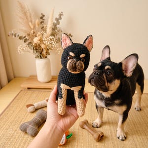 May include: A handmade crochet toy shaped like a French Bulldog with black fur, tan legs, and pink-lined ears. The toy features a textured yarn finish, dark eyes, and a brown muzzle. It is held up next to a live black and tan French Bulldog dog.