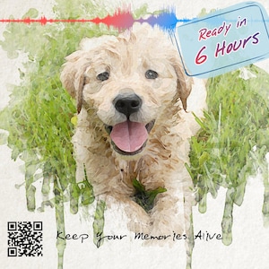 Retrato conmemorativo personalizado para mascotas con código QR de voz: recuerdo personalizado del puente del arcoíris, regalo por la pérdida de una mascota, pintura de acuarela para perros y gatos