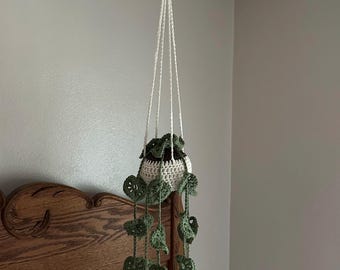 Cozy Stitches Crocheted plant