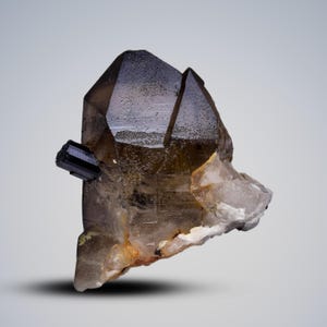 Esemplare di quarzo fumé con inclusione di tormalina nera dal Pakistan - Esposizione di minerali di cristallo curativi naturali