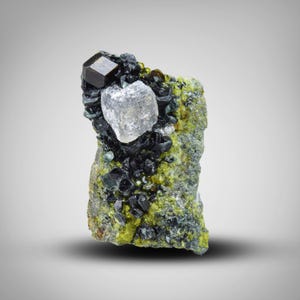 Andradite Garnet with Vesuvianite & Clinochlore Mineral Specimen, 44 Carat Afghanistan