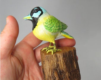 Mini Gourd Bird #38- Green Jay art sculpture