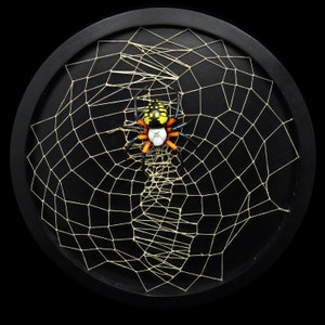 Writing Spider (argiope) on a web, mix media art sculpture