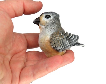 Mini Gourd Songbird #70- Tufted Titmouse