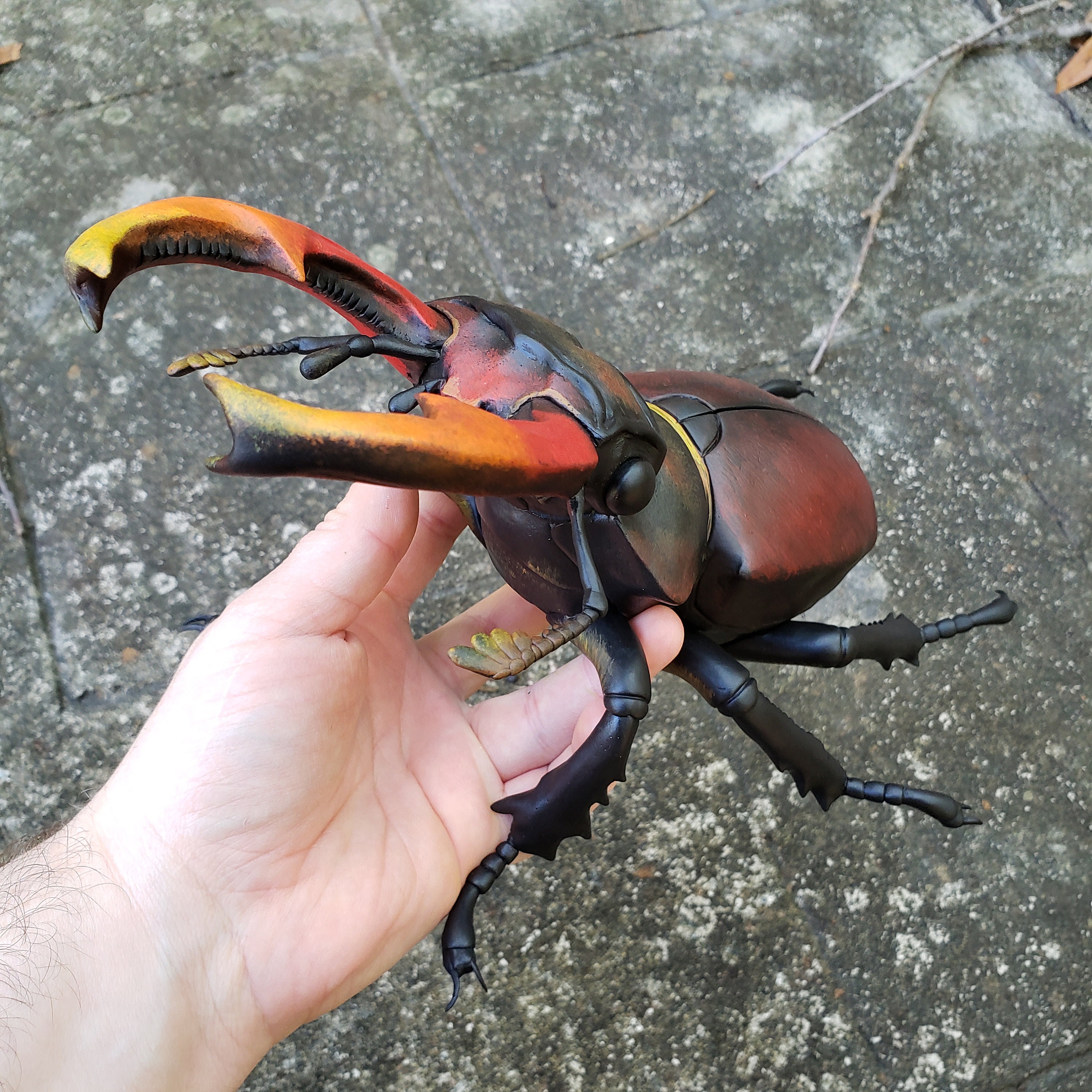 Giant Stag Beetle Gourd Art Sculpture Etsy