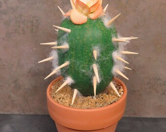 Realistic Gourd Cactus - #5