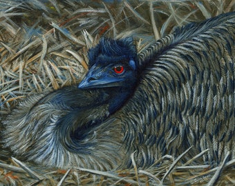 Original Acrylic emu bird painting "Emu Elegance"