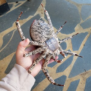 Escultura de arte colgante de la pared de araña gigante imagen 8