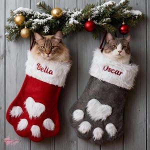 Op de afbeelding: Twee katten kijken uit kerstsokken. Eén rode sok met witte pootafdrukken en de naam "Bella" geborduurd in rood. De andere is grijs met witte pootafdrukken en de naam "Oscar". Een feestelijke slinger met ornamenten hangt erboven.