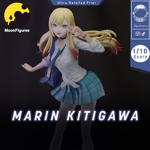 The Cosette Bloom - Maximum Detailed 3D printed figure - Unpainted/Painted