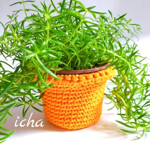 May include: A vibrant green plant in a brown pot, nestled inside a bright orange crocheted pot cover. The cover has a textured, handmade appearance. The word "icha" is visible in the lower left corner. The plant's leaves cascade over the sides.