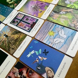 Può includere: Una collezione di carte dei tarocchi con varie illustrazioni e testo. Le carte presentano immagini di natura, animali e disegni astratti. Alcune carte hanno testo in francese, tra cui frasi come "Libérer la parole" e "Prendre sa place".