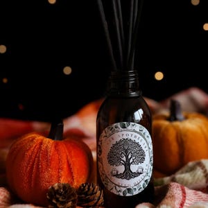 May include: A dark glass reed diffuser bottle with black reeds, a circular label, and two small pumpkins. The label reads "Parker Apothecary" with a tree illustration. The pumpkins are orange and sit on a plaid blanket, with pinecones in front.