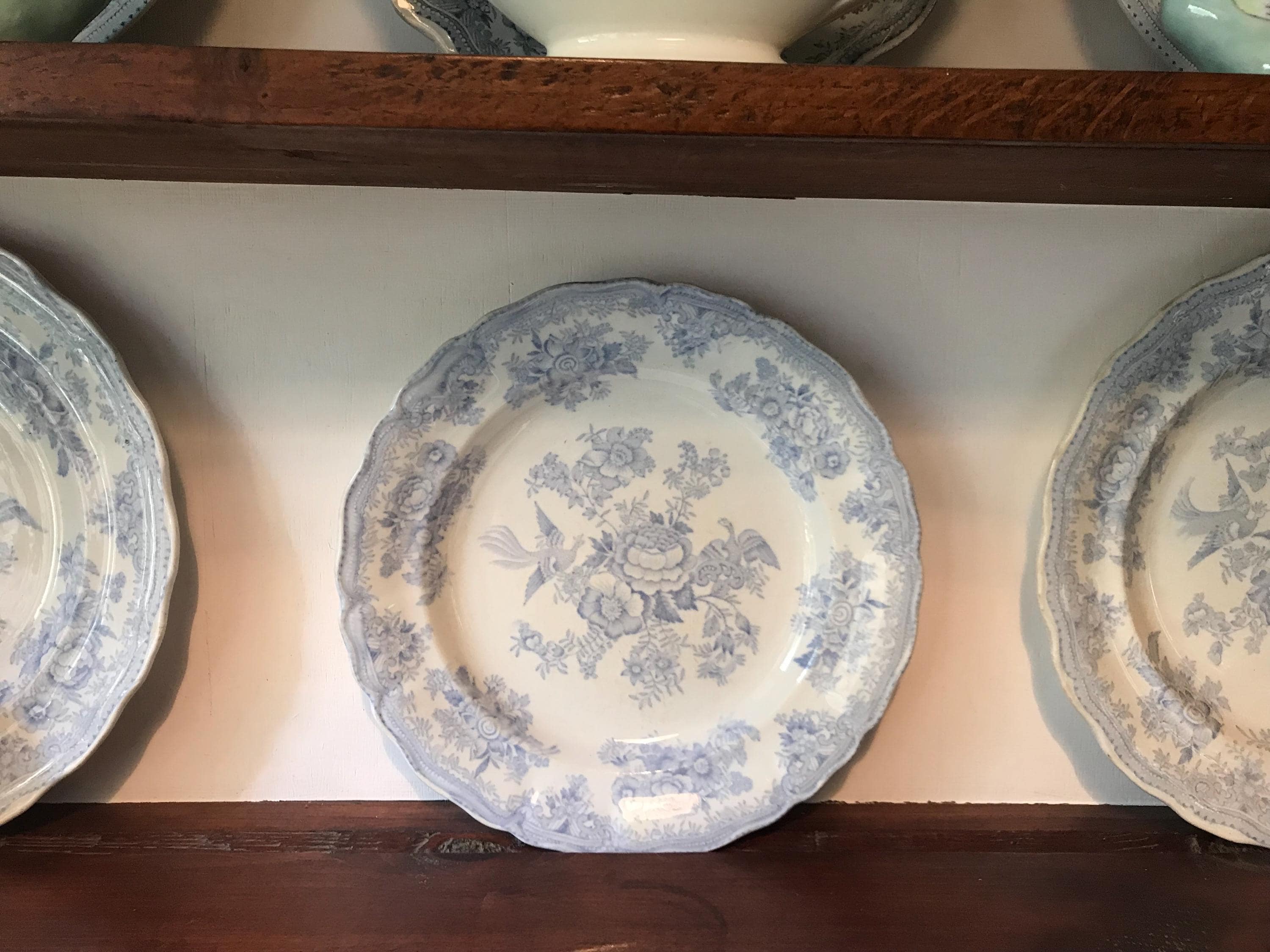 Burleigh Blue Asiatic Pheasants - Etsy