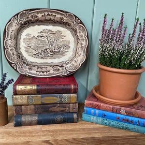 May include: An antique plate with a landscape design rests on a pile of old books. A terracotta pot with a flowering plant and a small brown vase with lavender are also present. The books have red, blue, and gold covers.