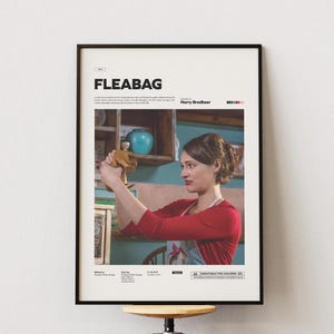 Afiche de la serie Fleabag / Impresión del afiche Fleabag de Phoebe Waller-Bridge / Afiche de diseño especial / Afiche de película en papel brillante