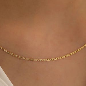 May include: A delicate gold chain necklace with a simple, classic design. The chain is made of small, linked oval shapes.