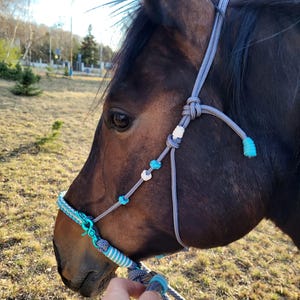May include: A brown horse wearing a gray and turquoise rope halter. The halter has decorative beads and a striped noseband. The horse is in a grassy field. The halter is made of rope.