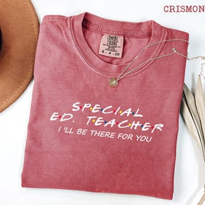 Comfort Colors® Special Education Teacher Shirts, Special Education Teacher Gifts, Sped Teacher Shirt, Autism Teacher Shirt, Friends Themed
